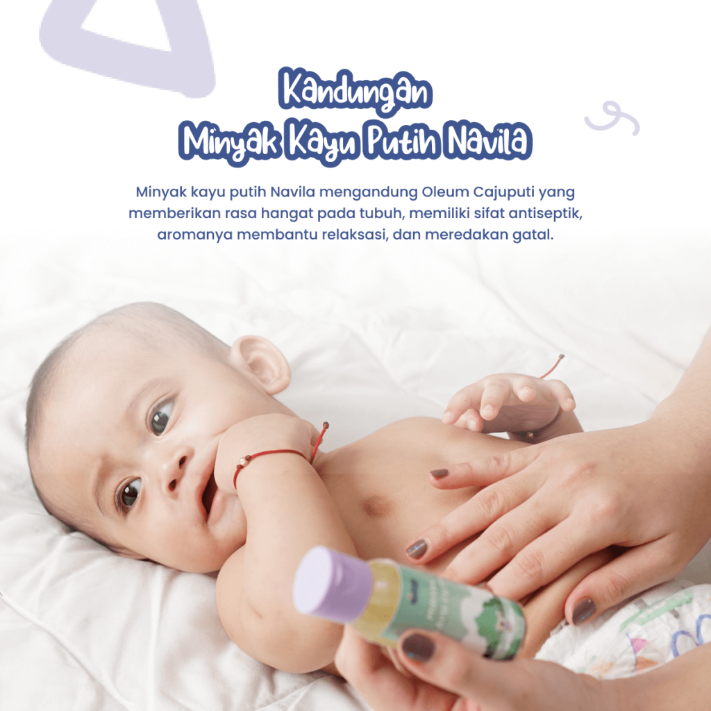 Kandungan Minyak Kayu Putih Navila 1