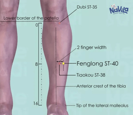 titik pijat batuk pada anak (Titik ST 40 (Fenglong))