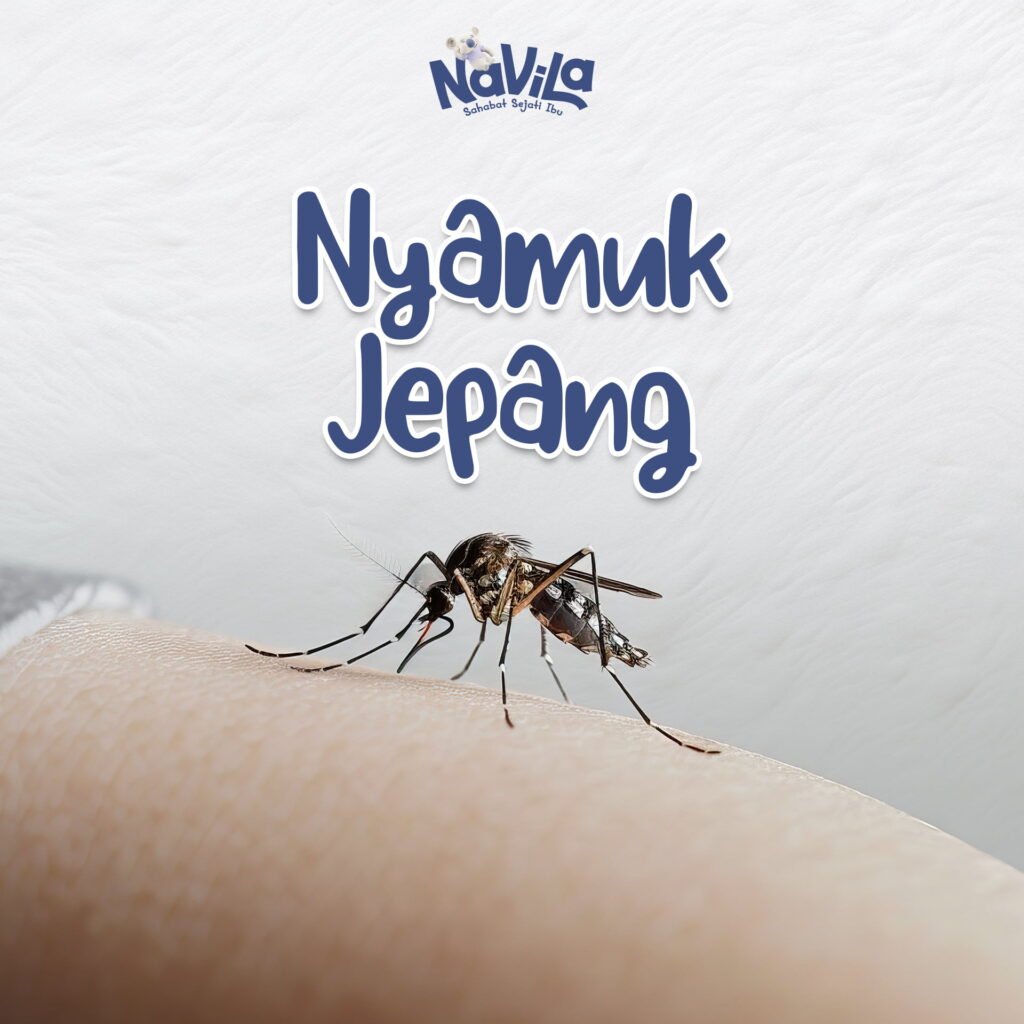 Nyamuk Jepang Sebabkan Kerusakan Otak, Simak Faktanya!