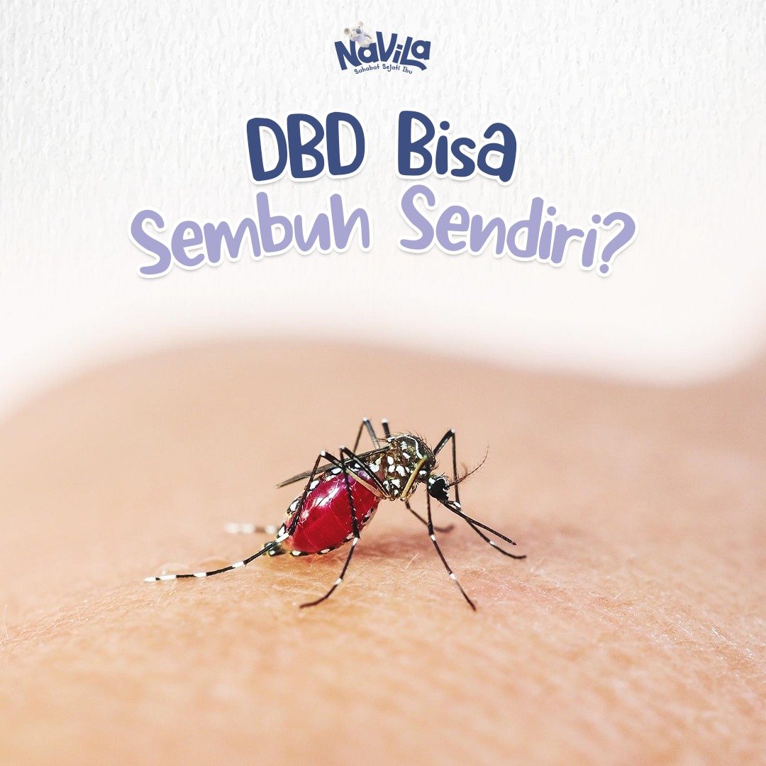 DBD Bisa Sembuh Sendiri? Ini Waktu yang Dibutuhkan untuk Pulih Total!