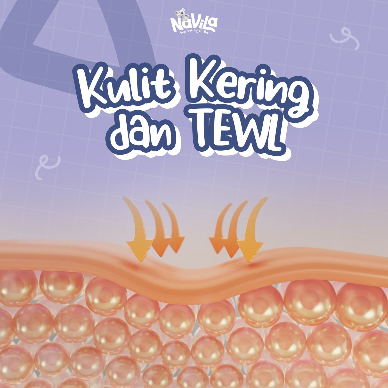 Kulit Kering dan TEWL, Apa Hubungannya