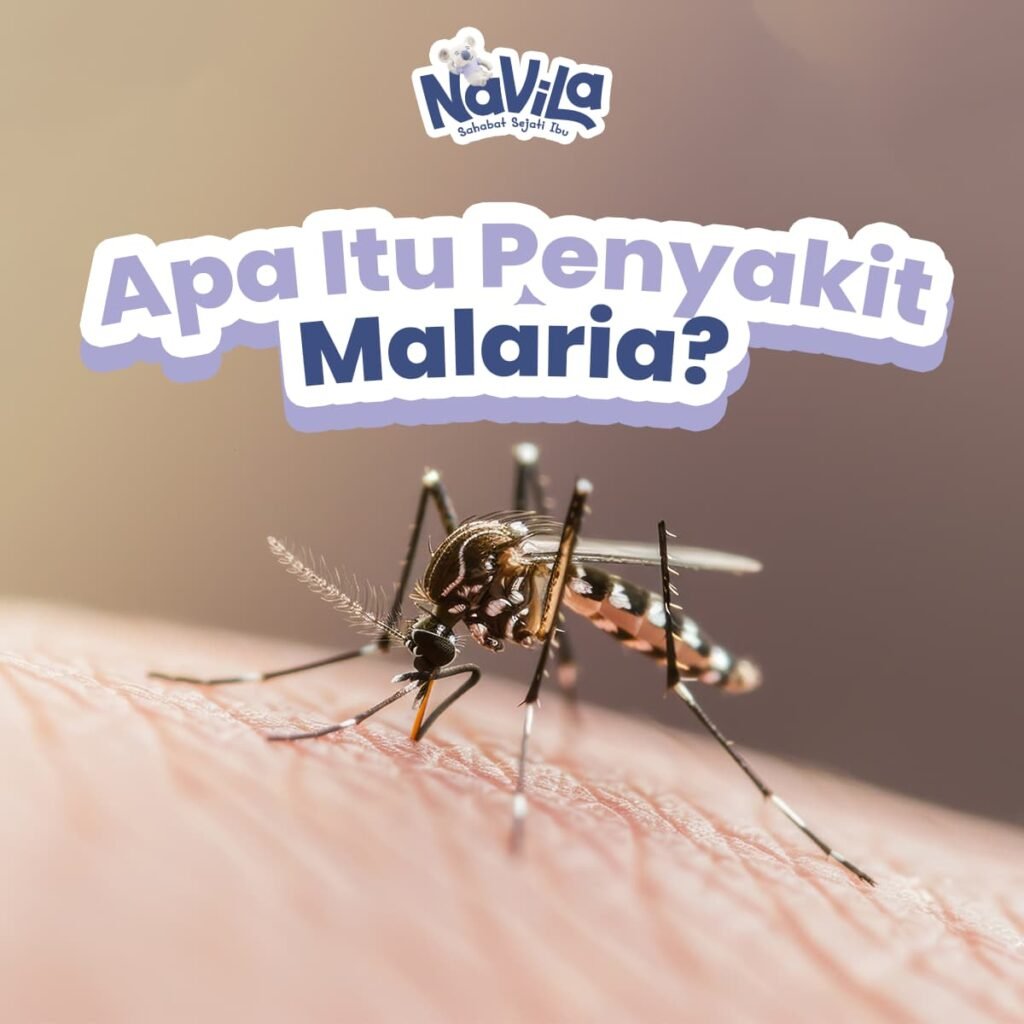 Apa Itu Penyakit Malaria Penyebab, Gejala, dan Cara Mengobatinya