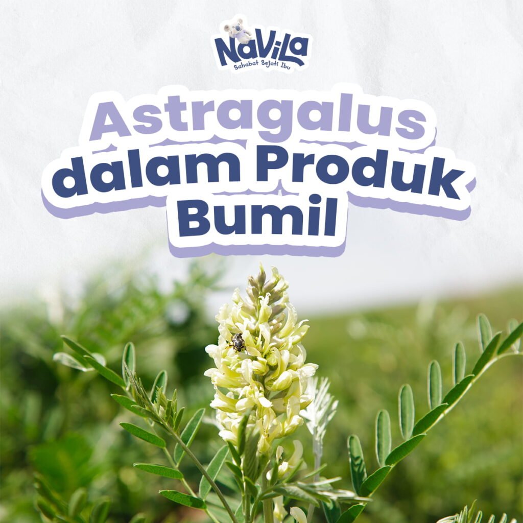 Mengapa Astragalus Tidak Boleh Digunakan dalam Produk Bumil Cek Faktanya