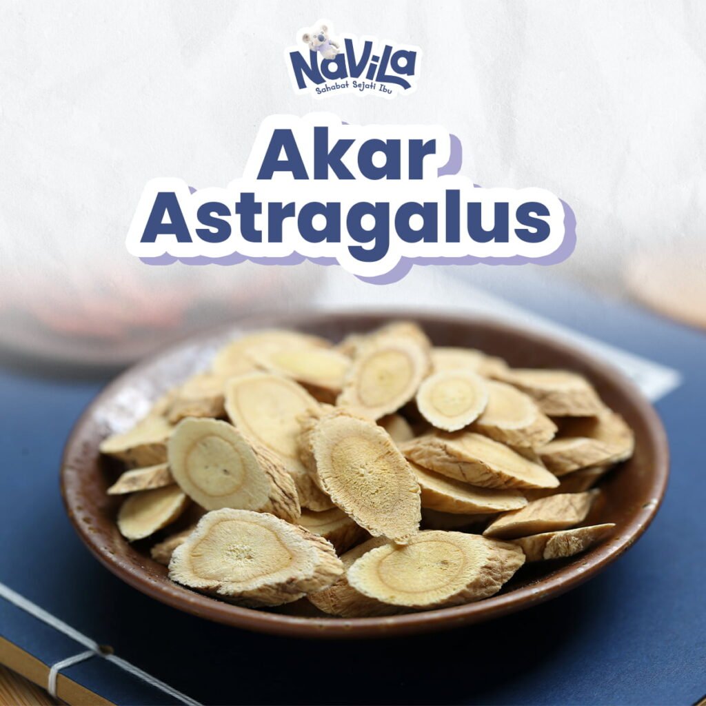 Panduan Lengkap Tentang Astragalus dan Efeknya bagi Tubuh
