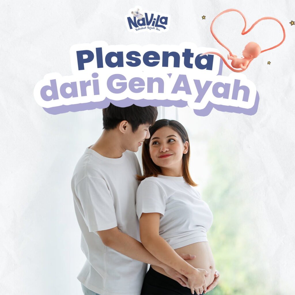 Ternyata Plasenta Janin Berasal dari Gen Ayah, Ini Penelitiannya!