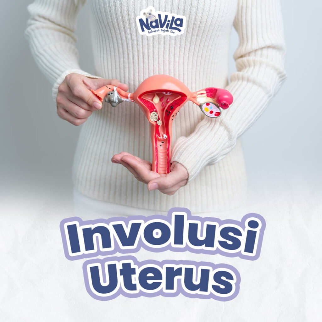 Proses Involusi Uterus setelah Melahirkan dan Tanda Normal Pemulihan Rahim